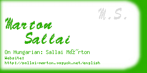 marton sallai business card